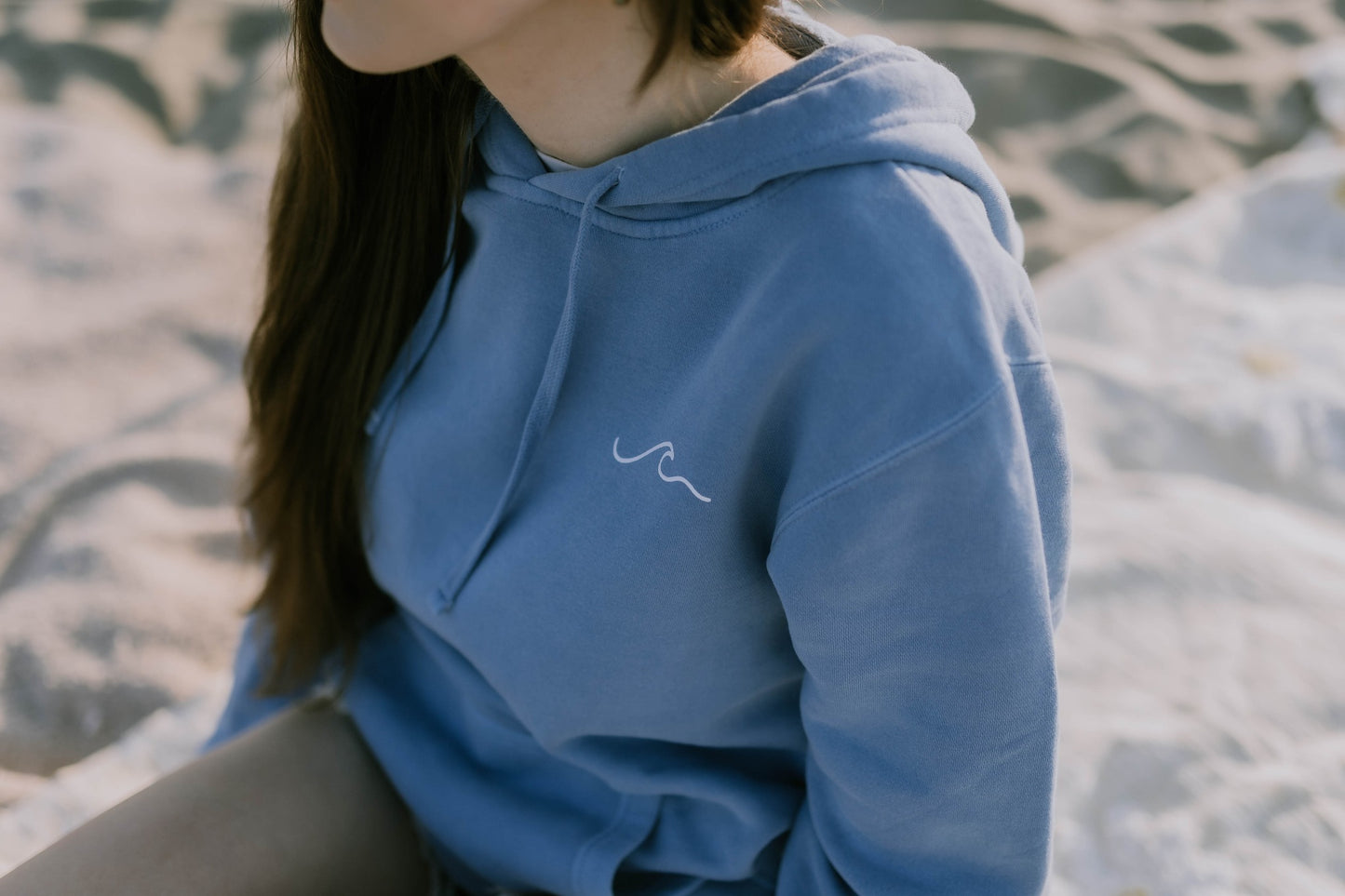 south shore hoodie 2.0 (light blue)